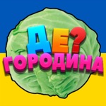 Де Городина