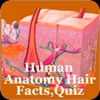 Human Anatomy Hair Facts,Quiz