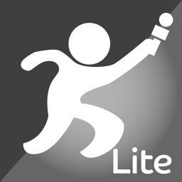 Report-IT Lite