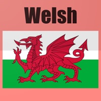 Learn Welsh Phrases  Words
