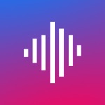 FLOW VOICE NOTES SOCIAL MEDIA