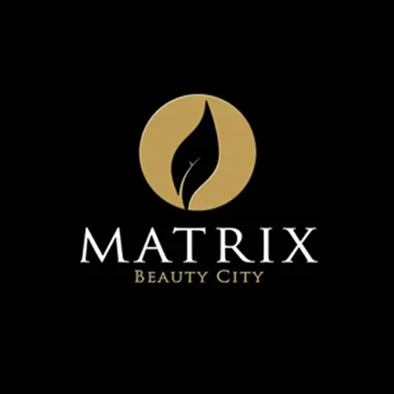 Matrix Beauty City Читы