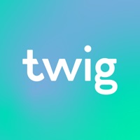 Twig ne fonctionne pas? problème ou bug?