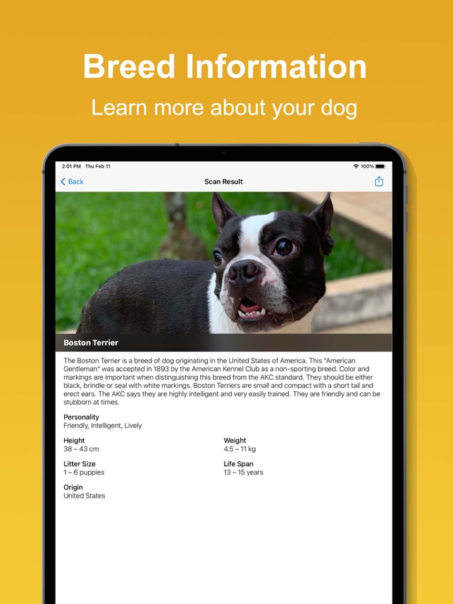 How To Tell When To Breed Your Dog
