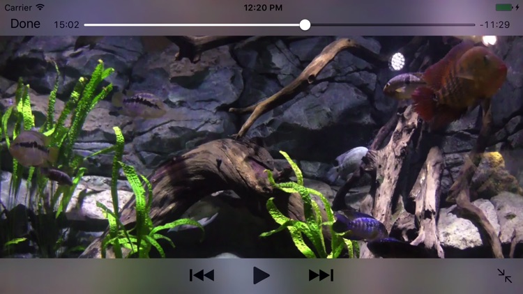 Aquarium Videos 4K screenshot-3