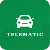 Telematic Driver