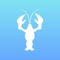 The Lobster app is a leading source of Dr