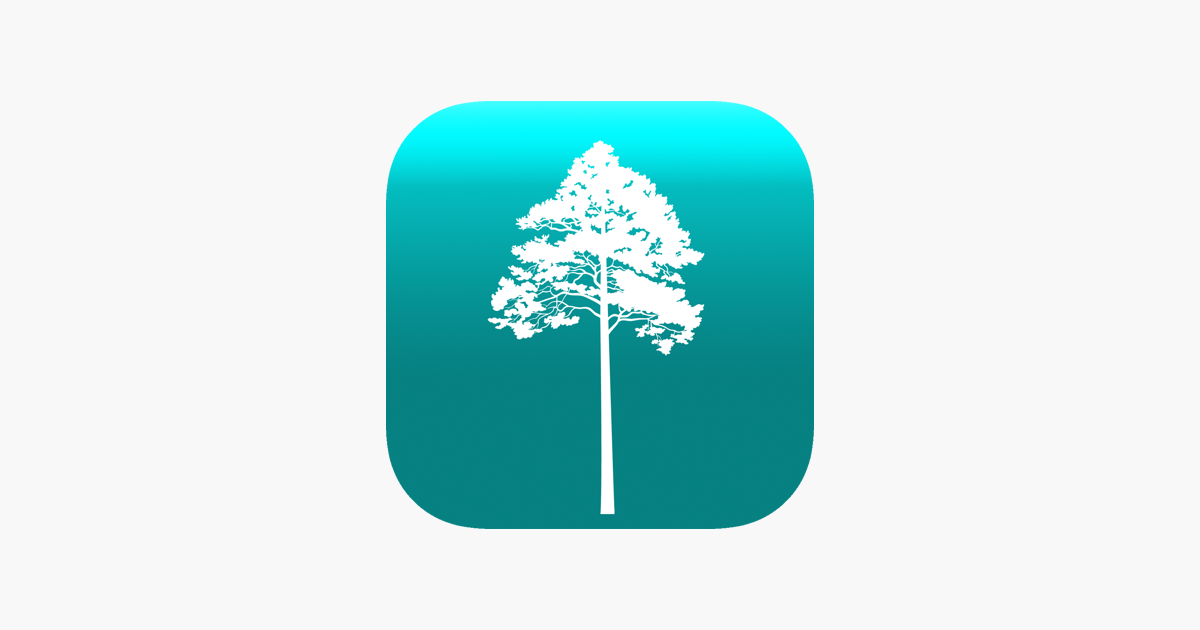 ‎Arboreal - Tree