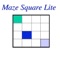 32 free 2-D mazes from 5x5 to 40x40 (iPad) or 6x6 to 20x20 (iPhone)