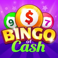 Bingo of Cash: Win Real Money Reviews