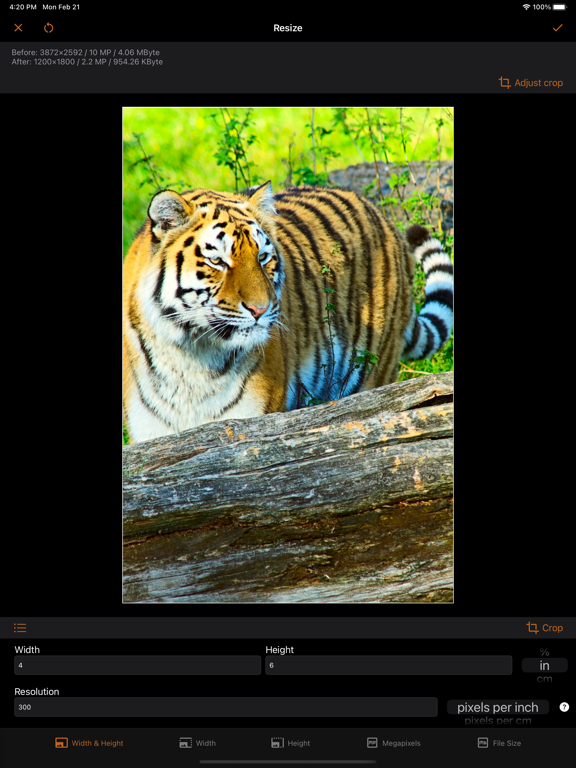 Image resizer, converter iSize screenshot 4