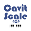 Cavit Scale 4CP - Cavit Artanlar