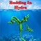 “Budding in Hydra” is an education learning app