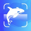 Icon Fish Identifier - Fish Verify