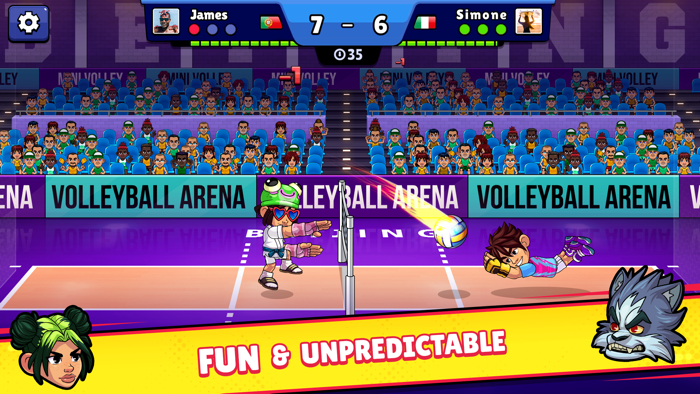 Volleyball Arena