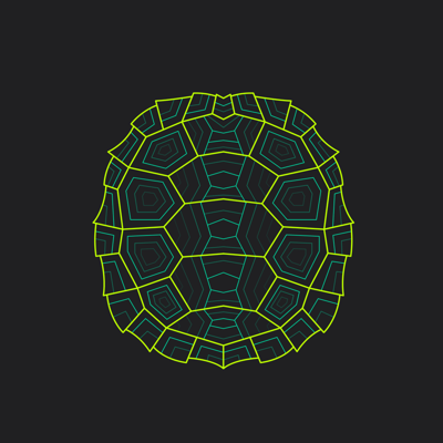 Turtle Wrapper-Screenshot