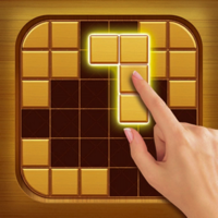 Wood Q Block Sudoku Puzzle