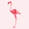 Flamingo Consulting