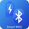 smartbms-Lion1