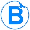 BluBook