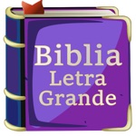 Biblia Letra Grande