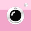 DICA - Cherry Blossom