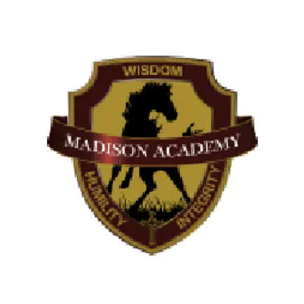 Madison Academy Читы