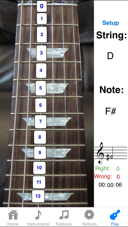 Electric Guitar Fretboard Lite