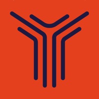 Theia Inspections  Fitting