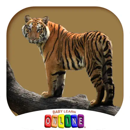 Baby Learn Zoology Читы