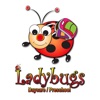 Ladybugs Daycare Preschool
