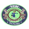 Diving Yoghi