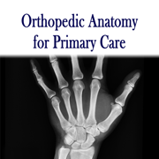 Orthopedic Anatomy