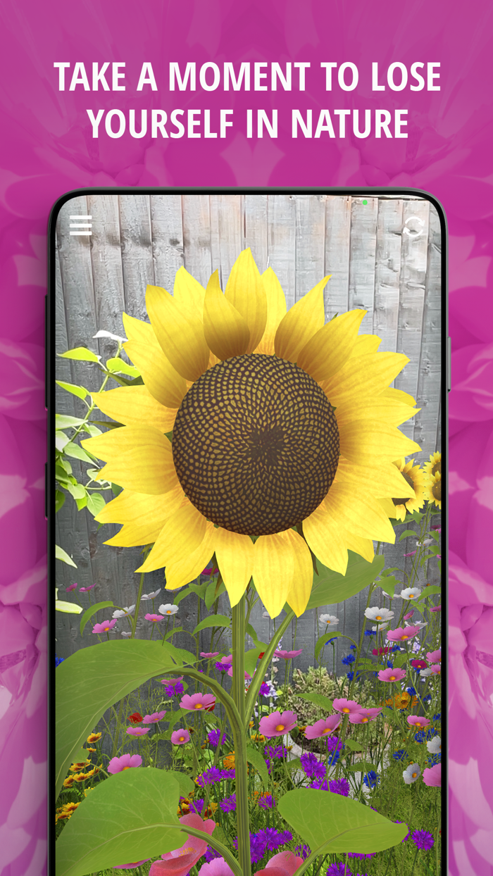 Tower Superbloom AR