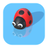 Little Ladybug