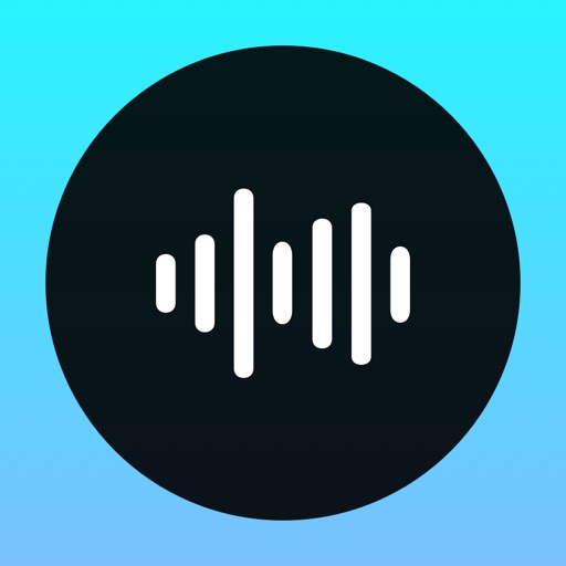 Depict - Audio Notes icon