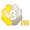 Icon VB3m