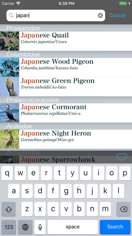 Japanese Birds