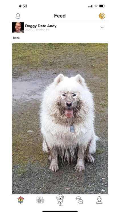 Doggy Date and Chonky Cats screenshot-3