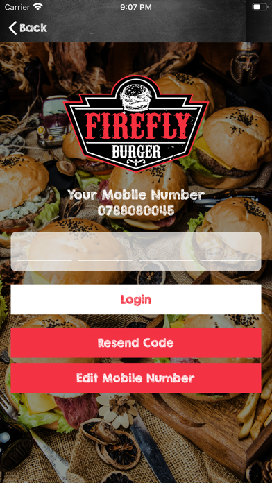 FireFly Burger screenshot 2