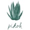 Welcome to Pikoh rewards