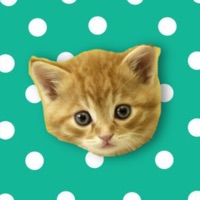 Musical Kittens PC 용