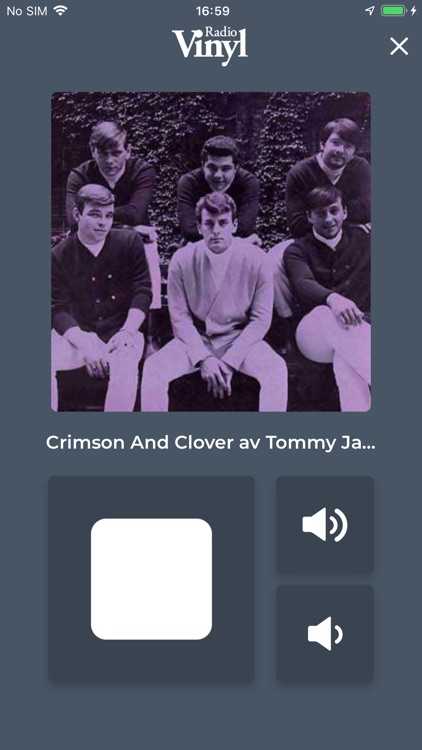 Radio Vinyl screenshot-4
