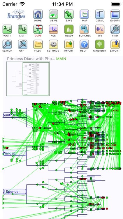 Branches Pro for iPhone