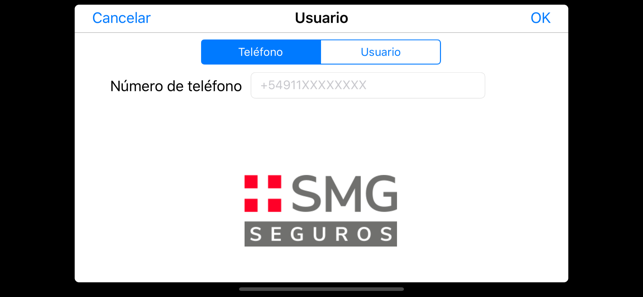 SMG Seguros Video Peritación(圖2)-速報App