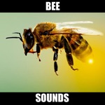 Annoying Bee Sounds