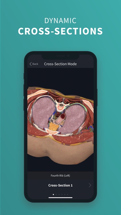 Complete Anatomy Platform '20 by 3D4Medical from Elsevier