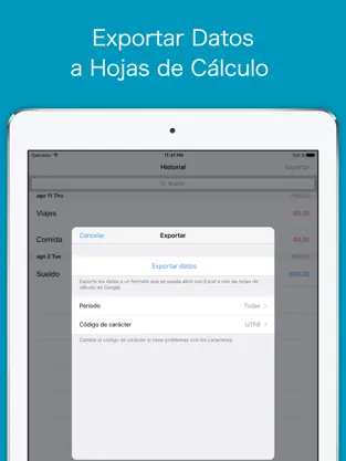 Captura 5 Zeny Seguimiento monetario iphone