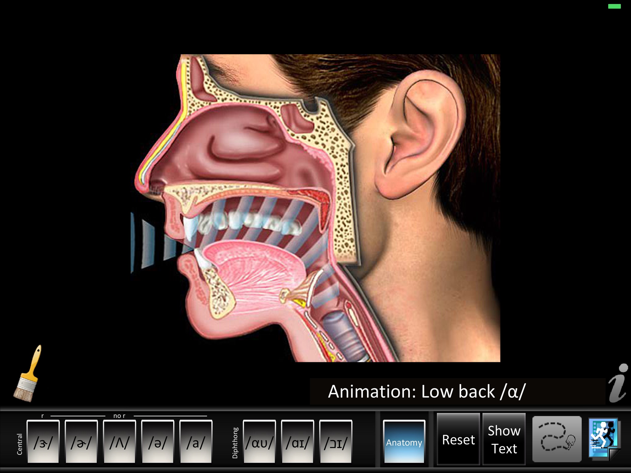 Vowels Central Diphthong screenshot 4