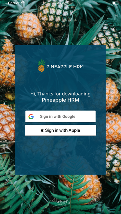 Pineapple HRM screenshot 2